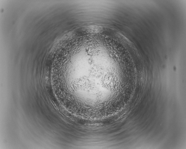 X0000056310553200508261132