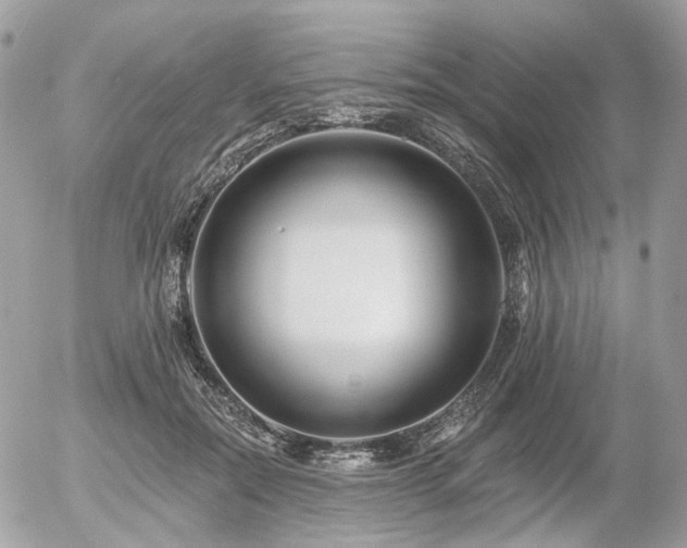 X0000056310554200508261132