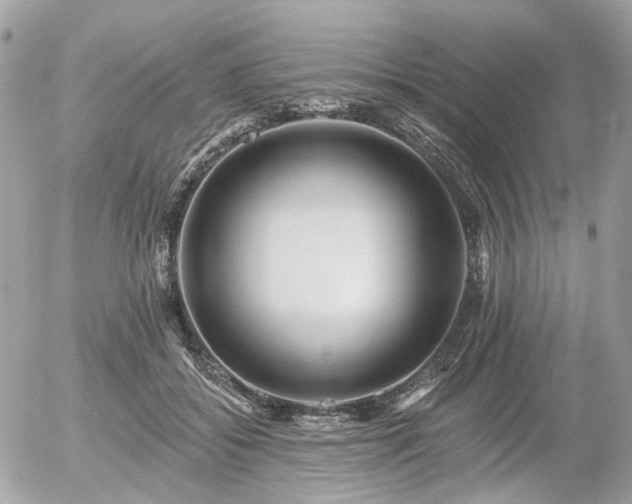X0000056310556200508261132