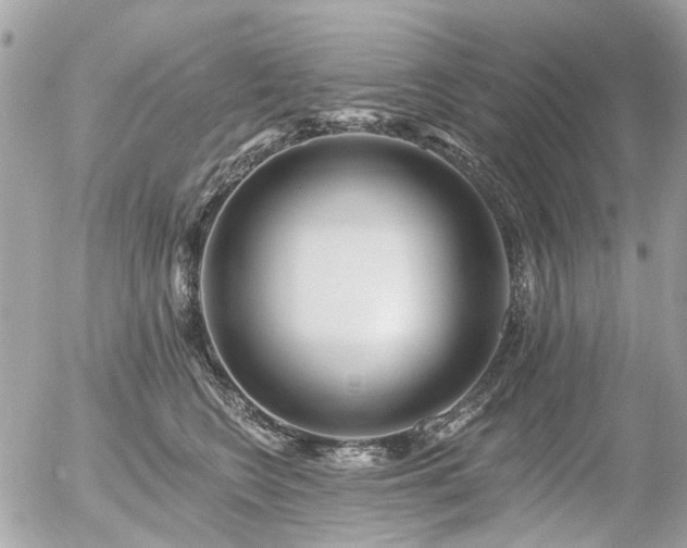 X0000056310566200508261132