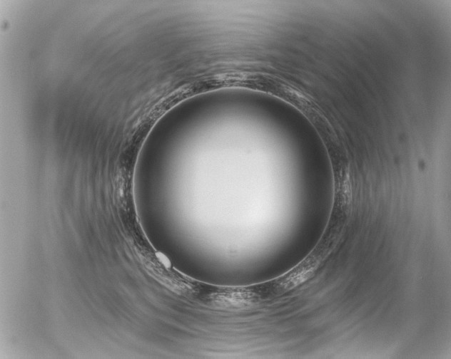 X0000056310567200508261132