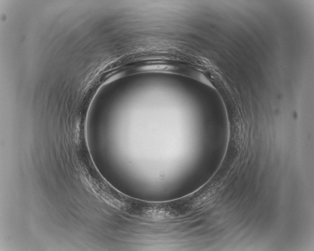 X0000056310596200508261131