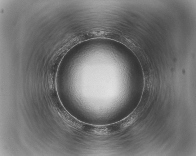 X0000056310606200508261131