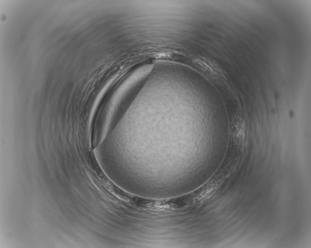X0000056310607200508261131