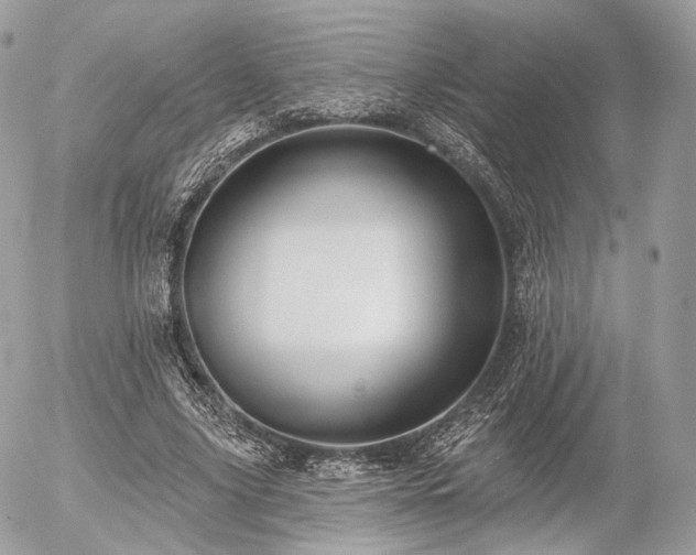 X0000056310635200508261130