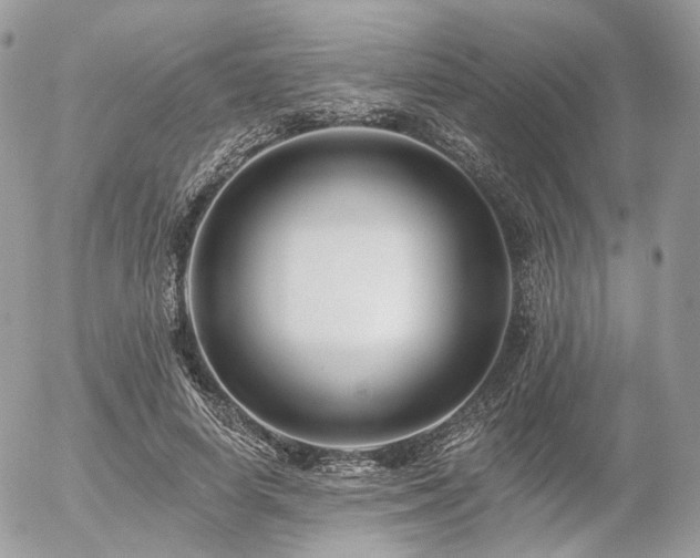 X0000056310642200508261130