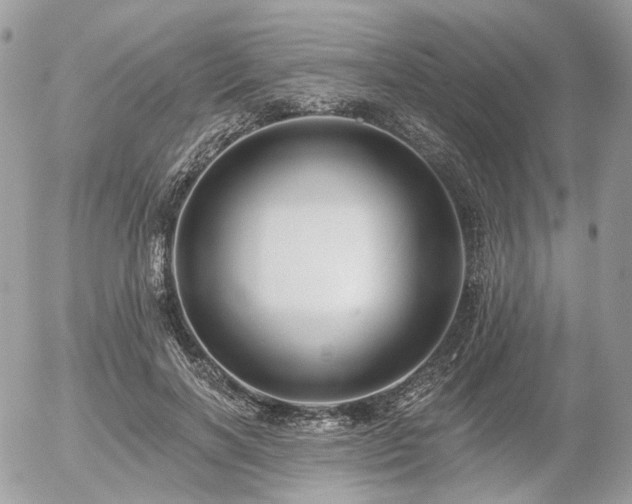 X0000056310646200508261130