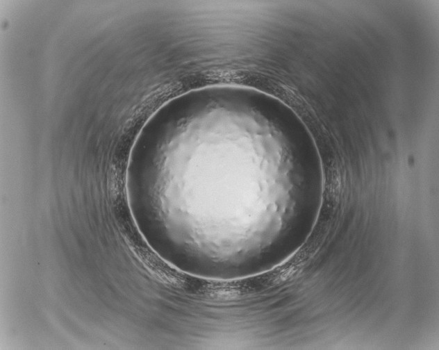 X0000056310658200508261131
