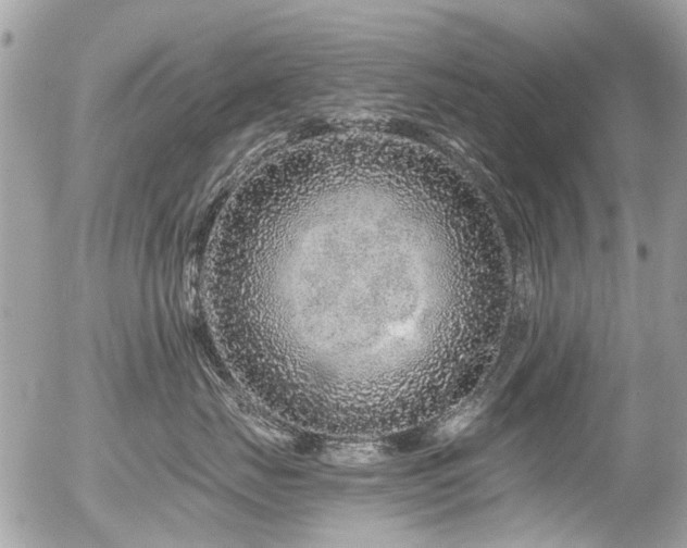 X0000056310671200508261131