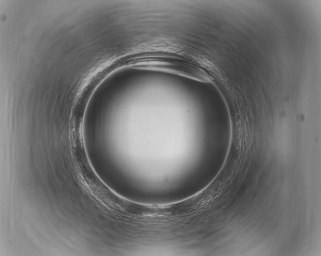 X0000056310680200508261130