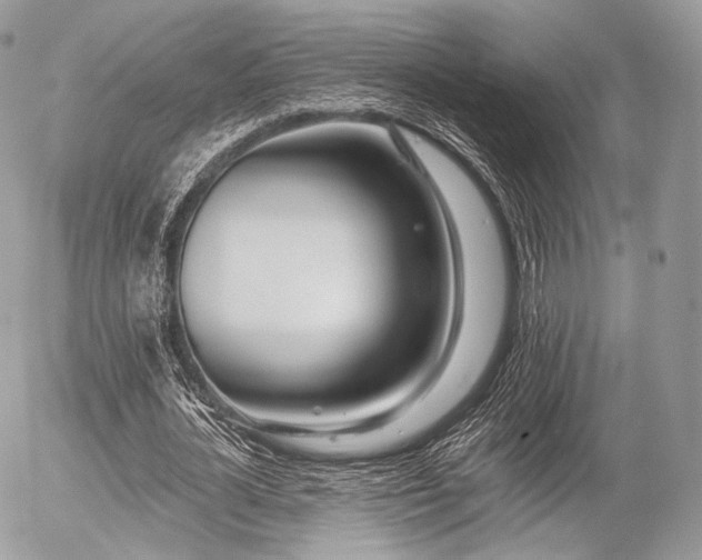 X0000056310724200508261128