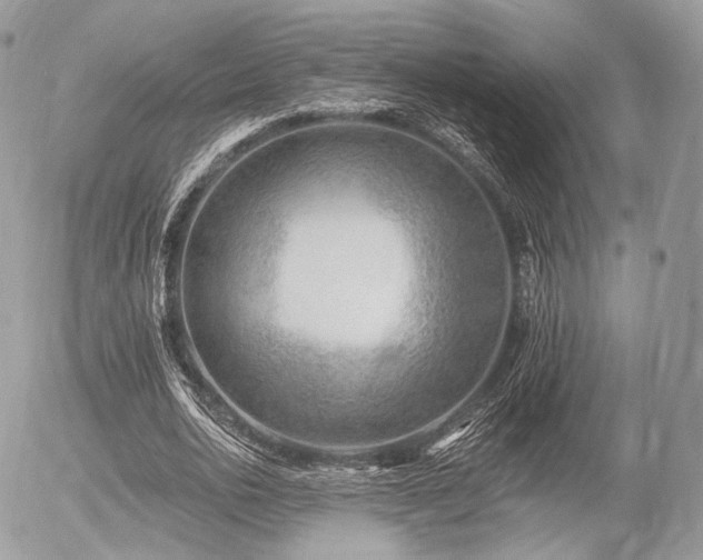 X0000056310726200508261128