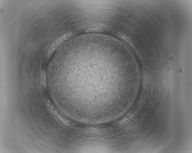 X0000056310729200508261129