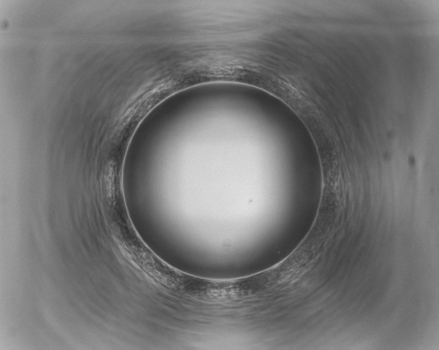 X0000056310744200508261129