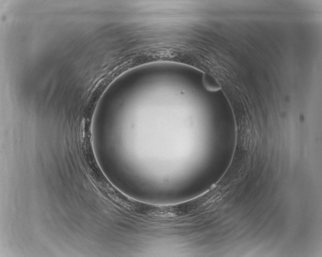 X0000056310747200508261129