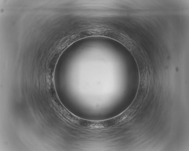 X0000056310749200508261129