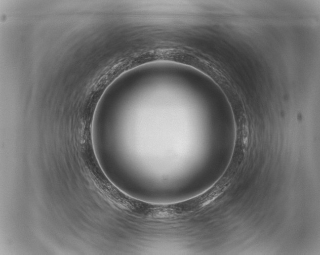 X0000056310750200508261129
