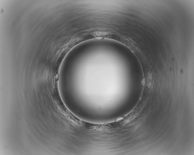 X0000056310763200508261129
