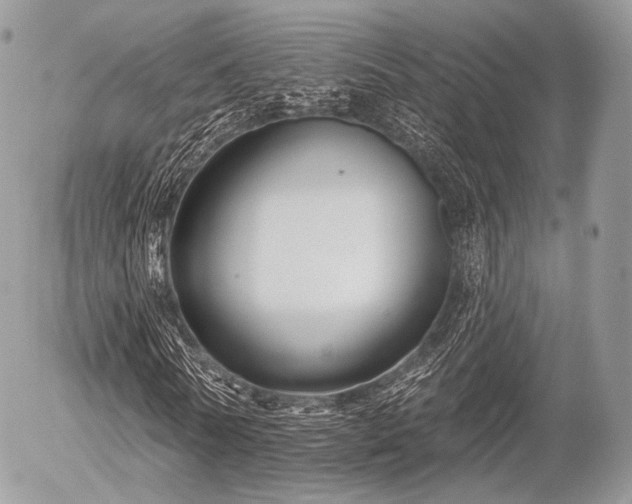 X0000056310770200508261128