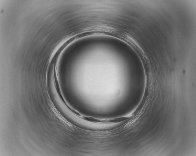 X0000056310788200508261128