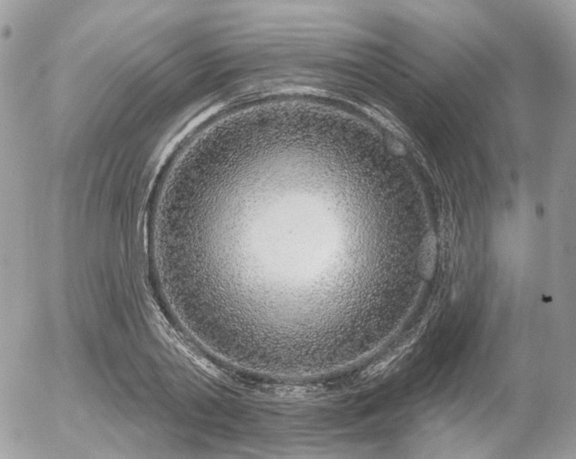X0000056310790200508261128