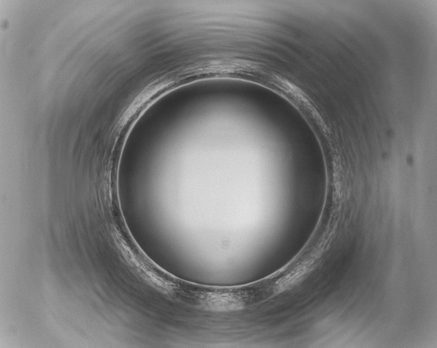 X0000056310794200508261128