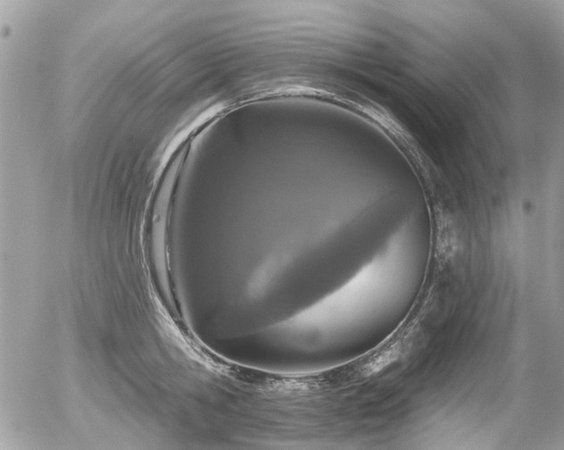 X0000056310806200508261128