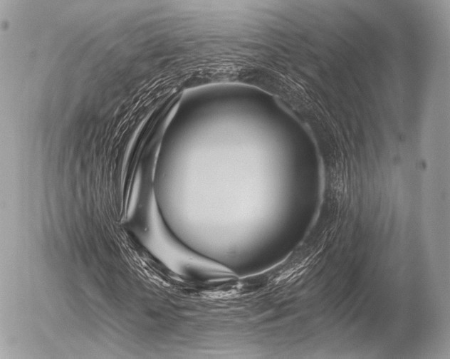 X0000056310818200508261127
