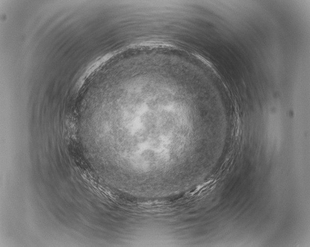 X0000056310823200508261127