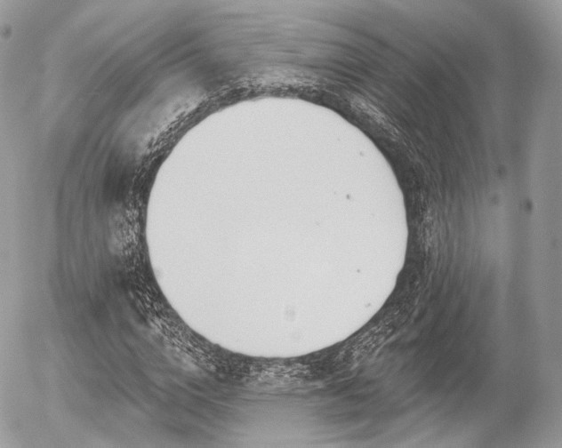X0000056310824200508261127