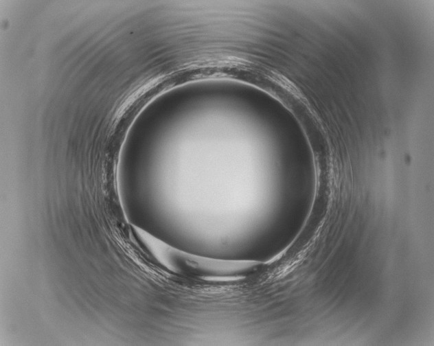 X0000056310826200508261127