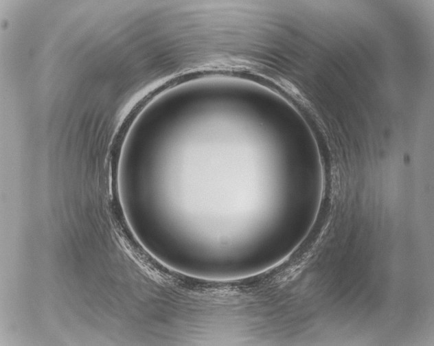 X0000056310838200508261127