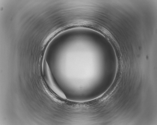 X0000056310842200508261127