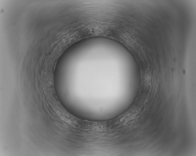 X0000056310865200508261127