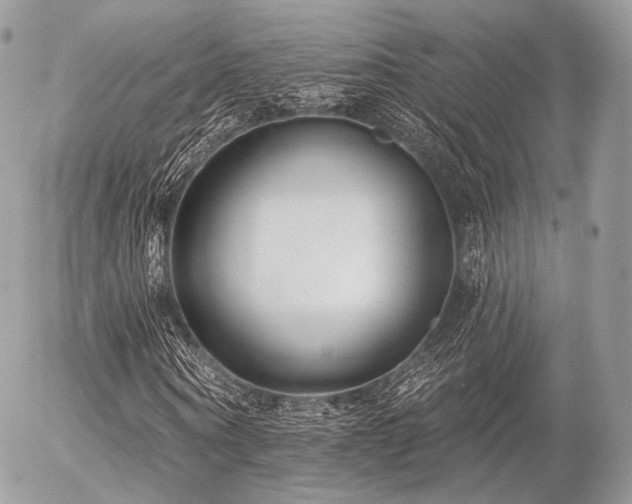 X0000056310866200508261127