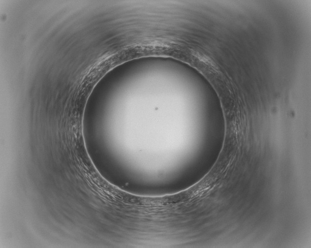 X0000056310870200508261127