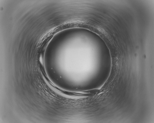 X0000056310872200508261127