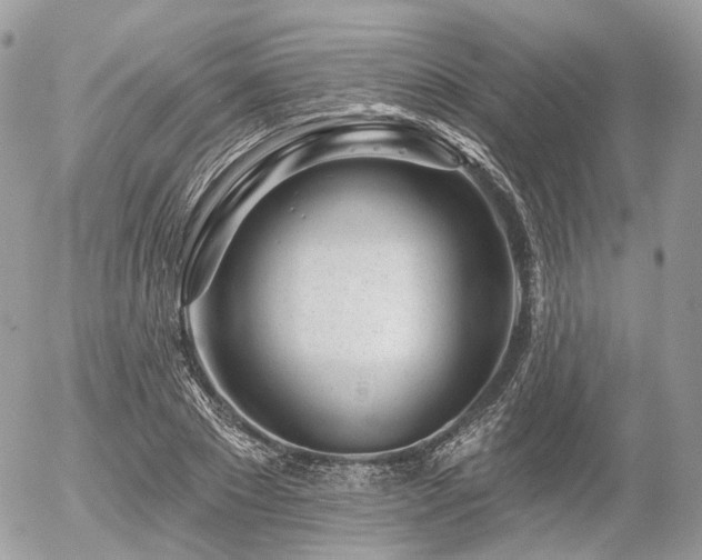 X0000056310881200508261127