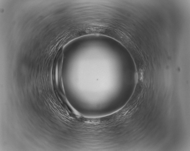 X0000056310915200508261125