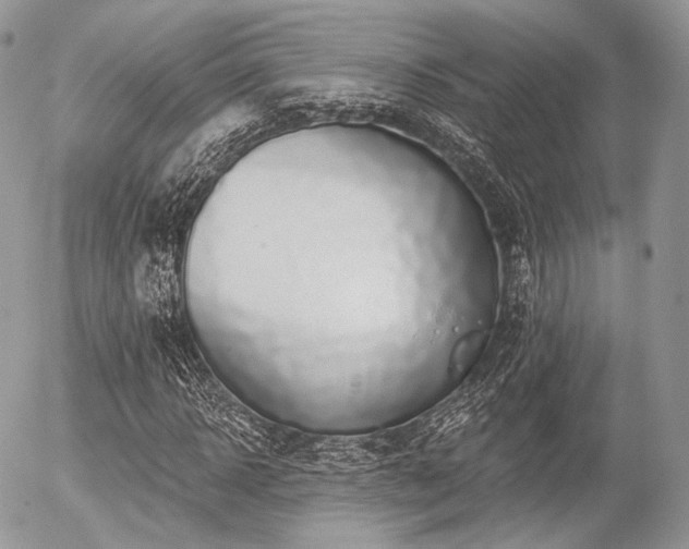 X0000056310918200508261125
