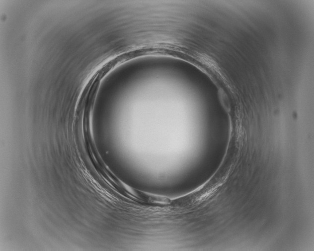 X0000056310924200508261125