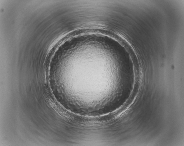 X0000056310925200508261125