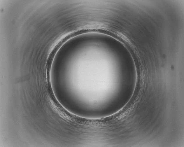 X0000056310934200508261126