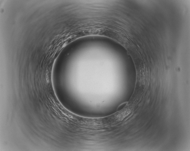 X0000056310962200508261125