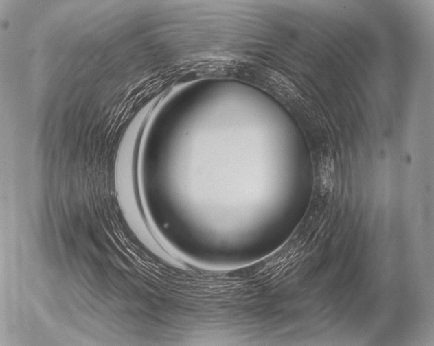 X0000056310964200508261125