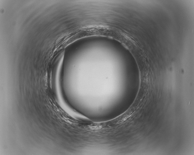 X0000056310965200508261125