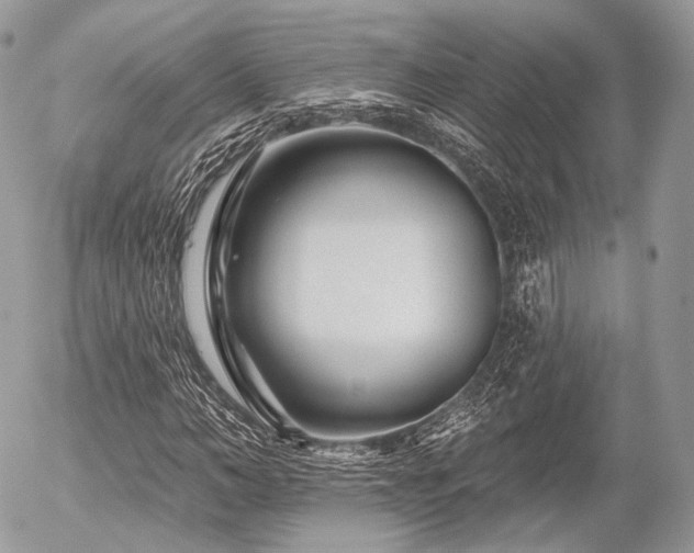 X0000056310966200508261125