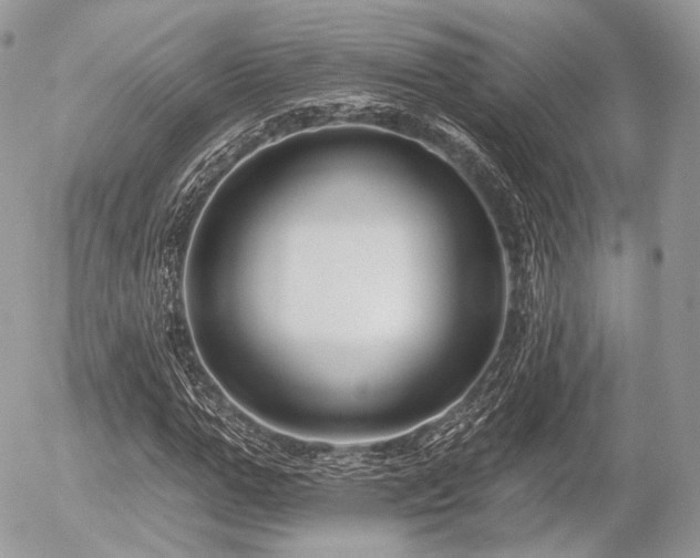 X0000056310967200508261125