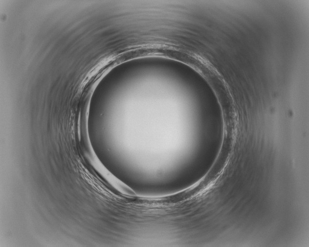 X0000056310969200508261125