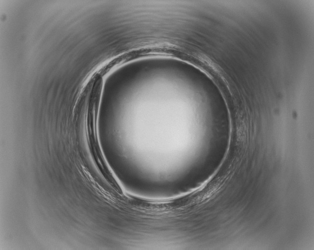 X0000056310975200508261125